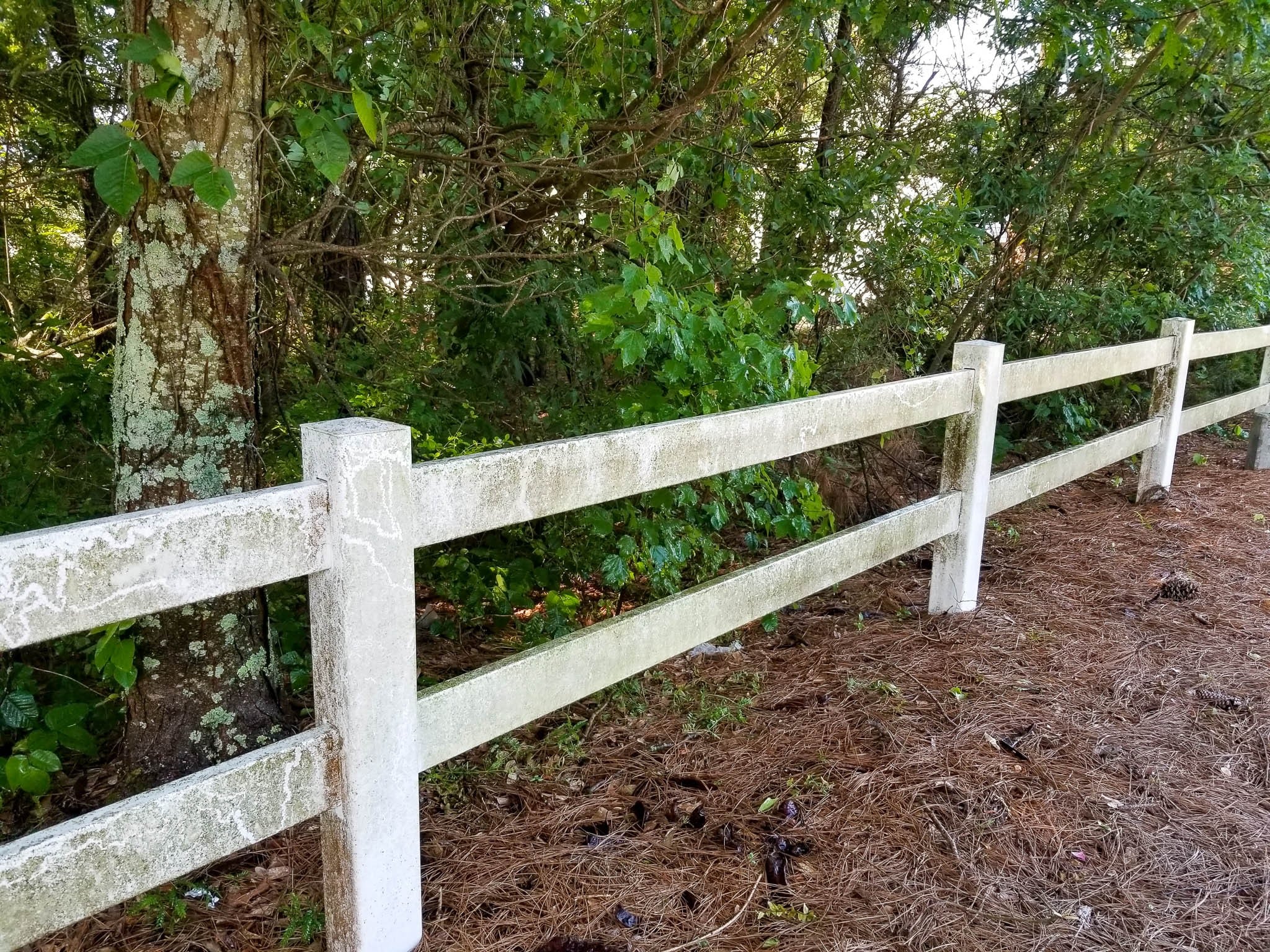 Before: Mildewed Fence