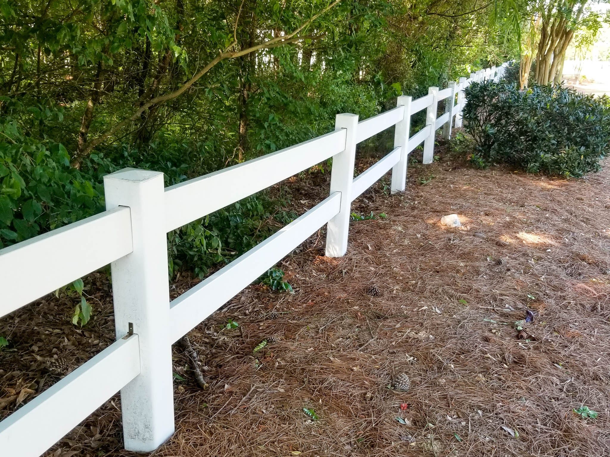 After: Clean, Pressure-Washed Fence